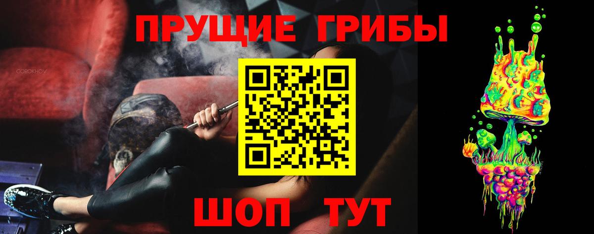 Псилоцибиновые грибы Psilocybe  Псилоцибиновые грибы Psilocybine cubensis  Вход с VPN  Белогорск 